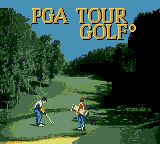 PGA Tour Golf screenshot 3 for Sega Game Gear